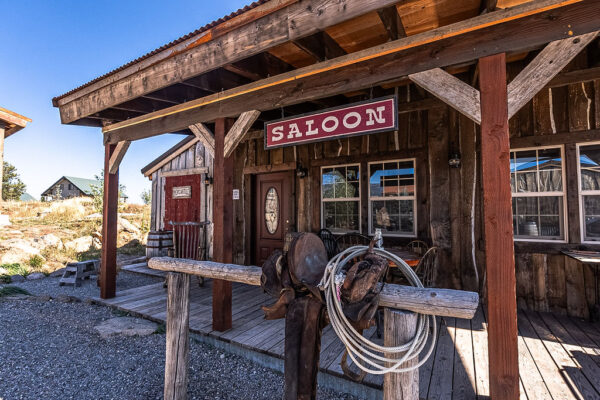 Saloon details